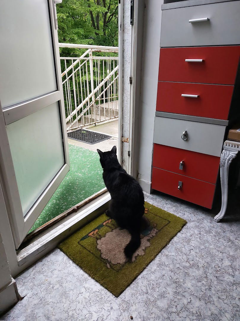 Kompjuter biblioteka D.O.O.