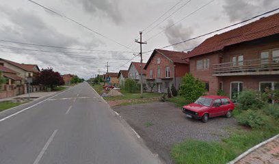 Koste Brankovića /Plavi horizonti/