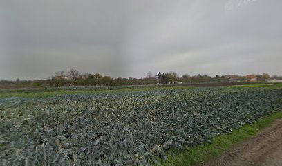 Stovariste Topla Zima