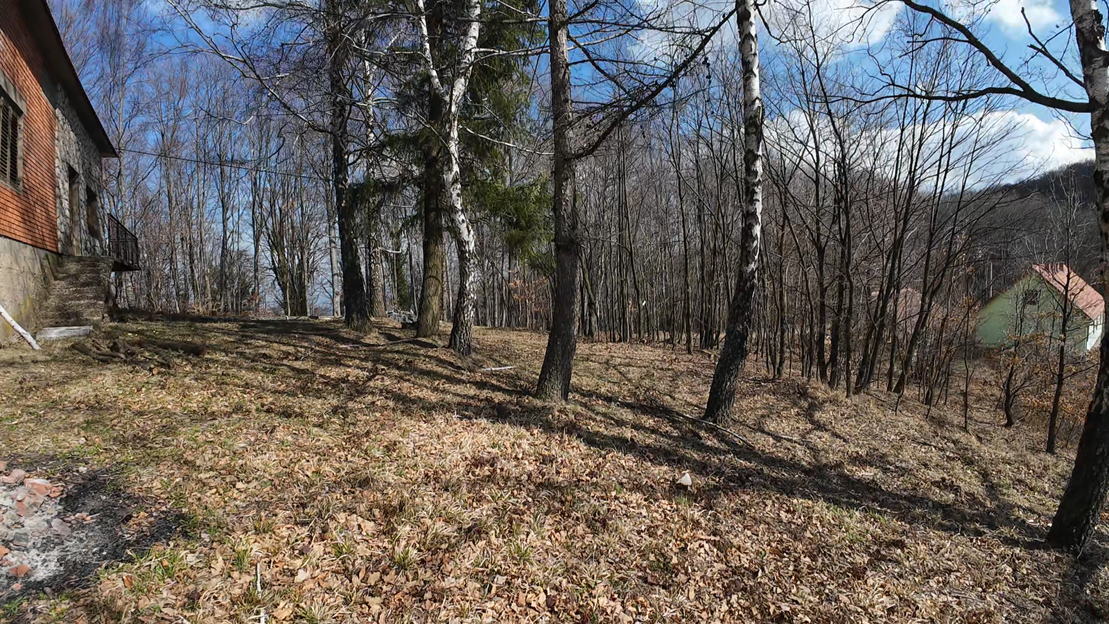 Planinarska Kuca Srbija Šume