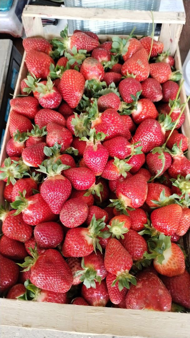 Poljoprivredno gazdinstvo Stakić