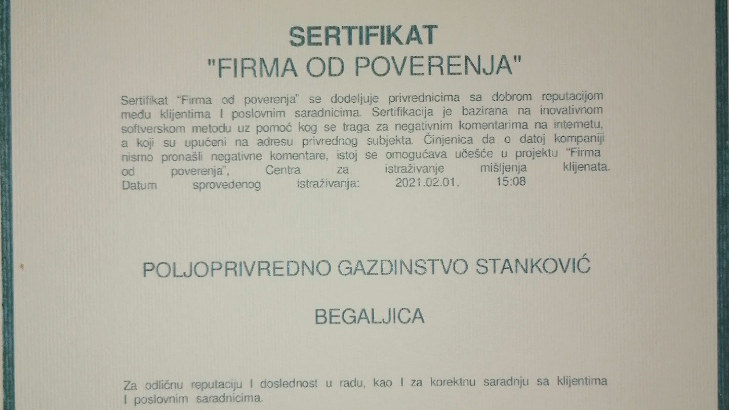 PG Stankovic