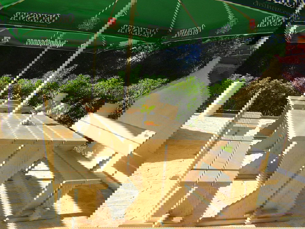 Apartment Ivas Osibova Bay