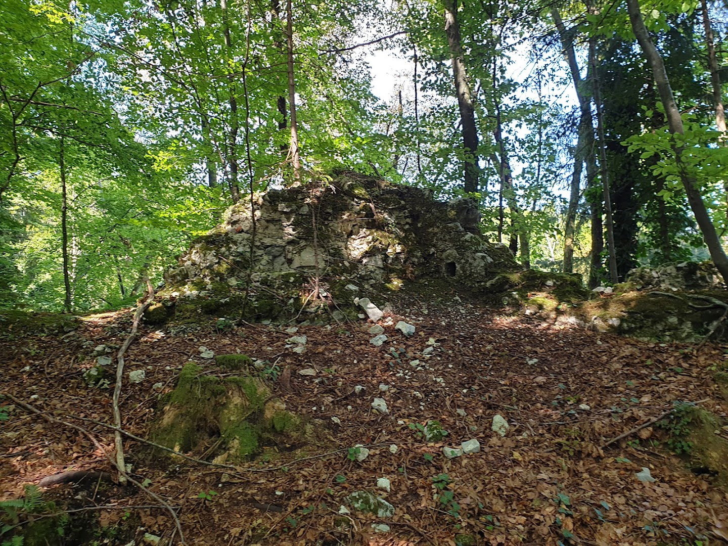 Kravjek Castle