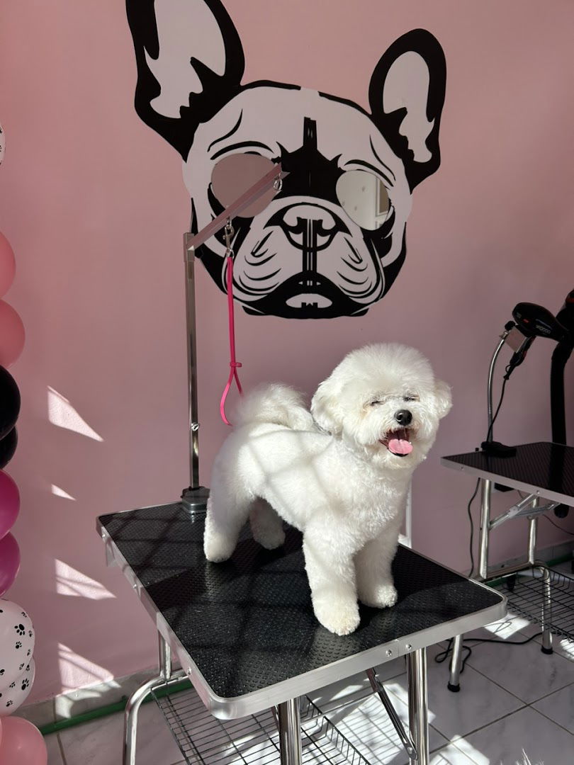 Salon za sisanje pasa ''Woof-by Lola''