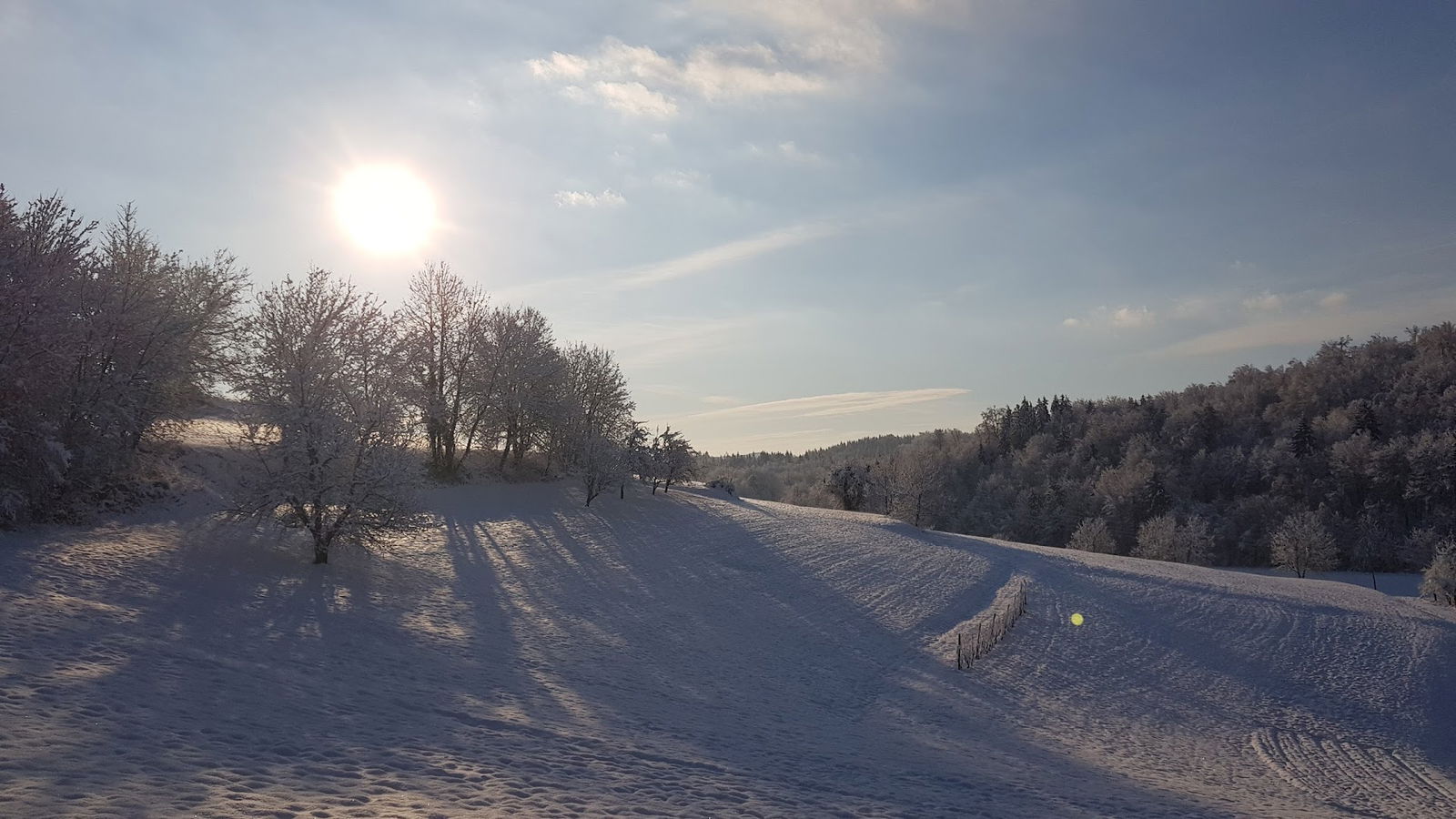 Center šolskih in obšolskih dejavnosti