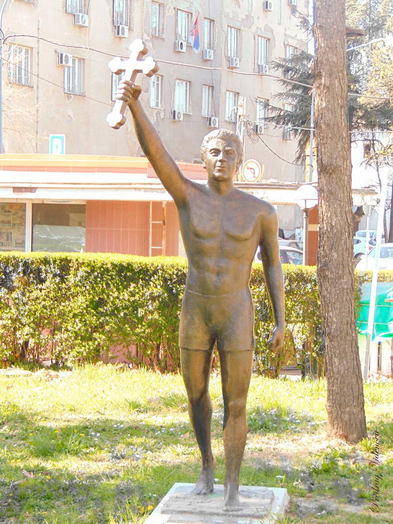 Споменик Богојављенски пливач