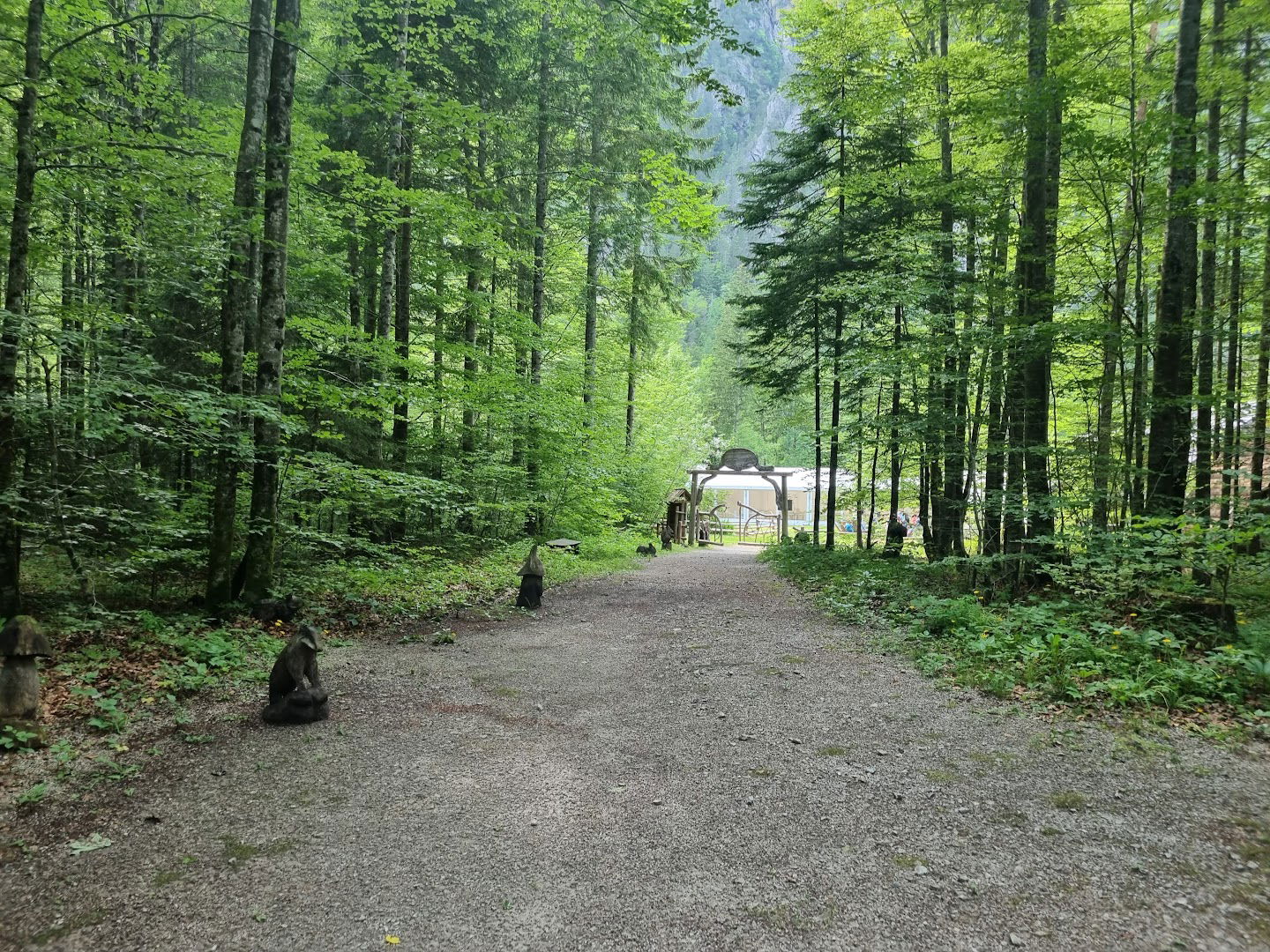 Fairytale Forest Logar Valley