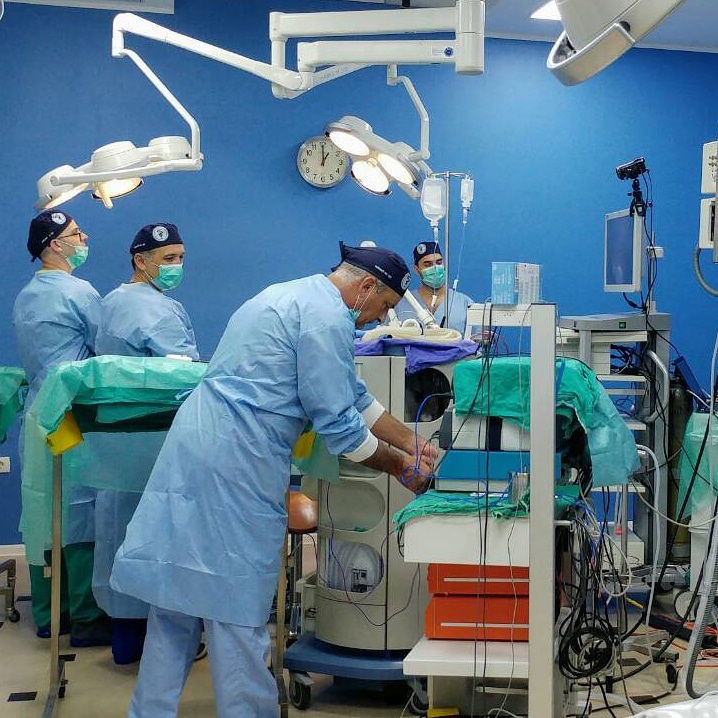 Veterinarska ambulanta IVAVET - Vračar