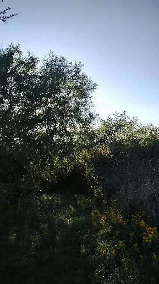 Pravoslavno groblje Stari Lec