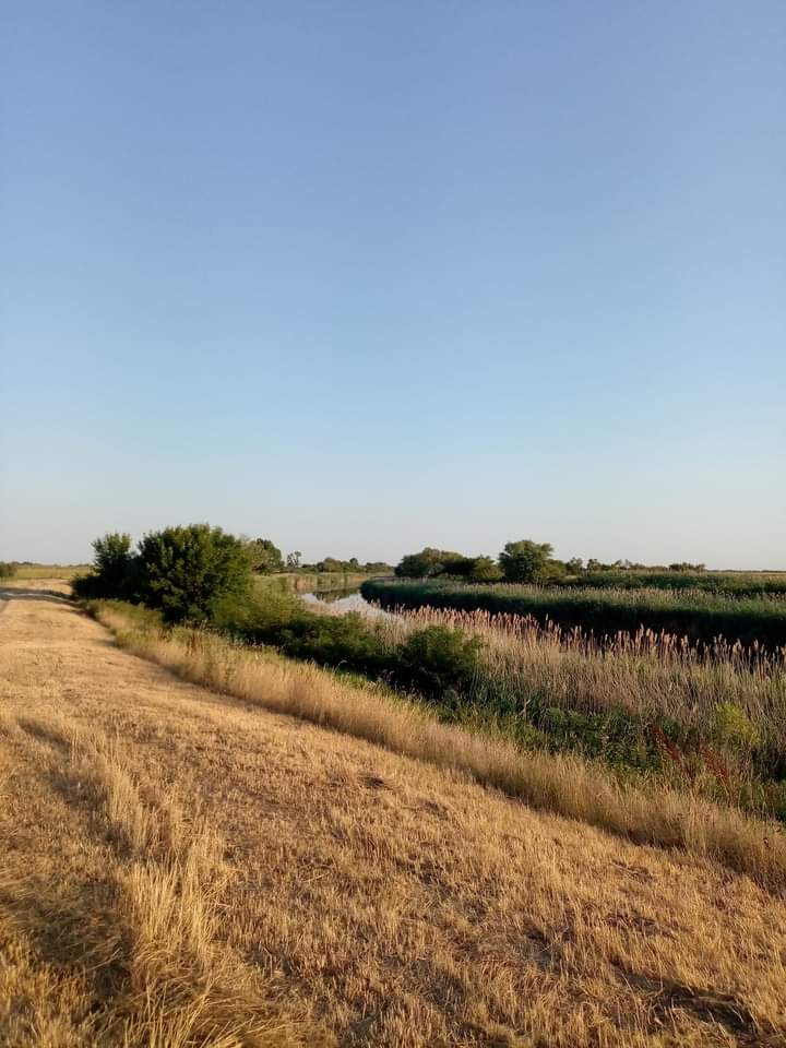 Велики Брег