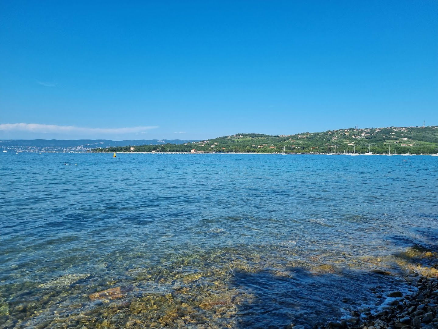 Plaža Debeli rtič/Spiaggia Punta grossa
