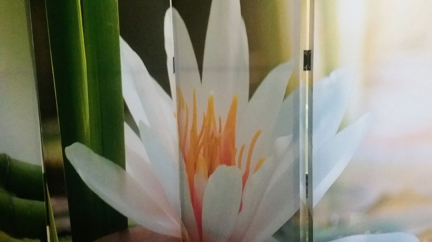 Medicinska masaža Trešnjevka