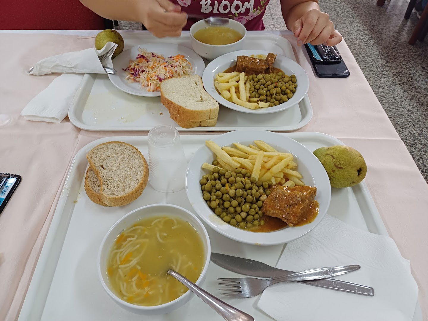 Студентска менза "Ђушина"