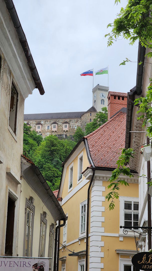 Dessa arhitekturni center, Ljubljana