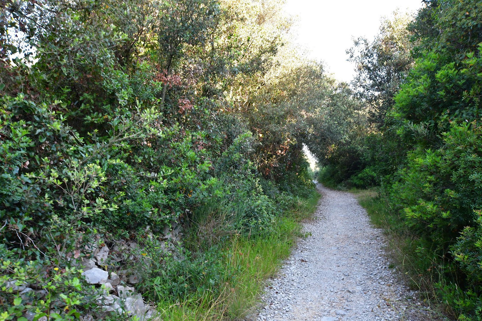 Makadamski put Kožino - Petrčani