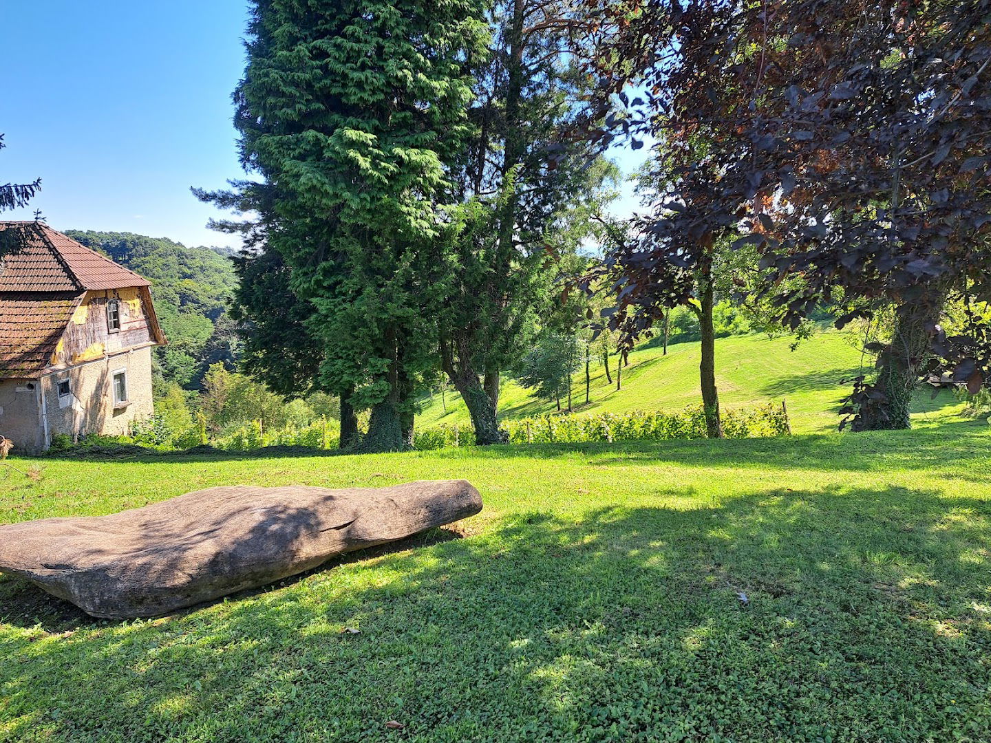 Mini Hill- Tiny House