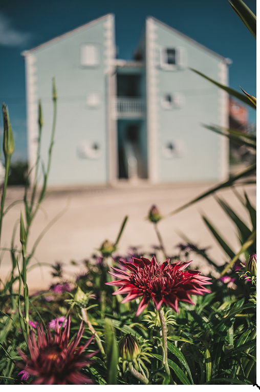 Apartments Blue House
