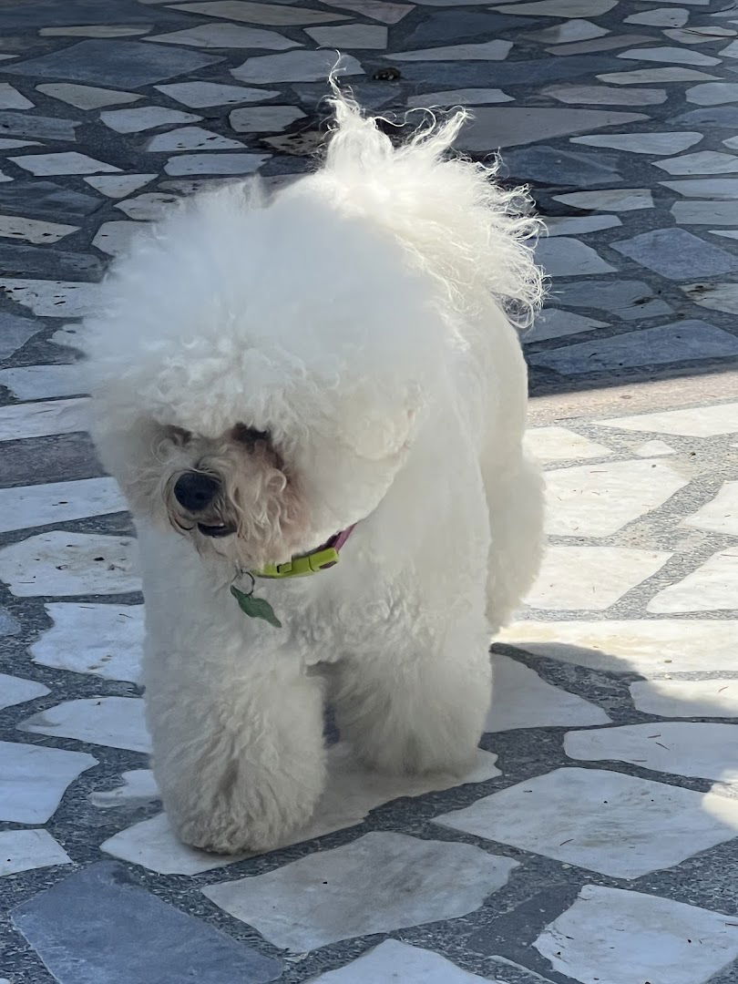 Pretty Walker Grocka