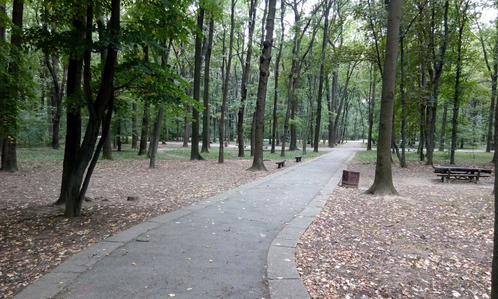 Park forest Zvezdara