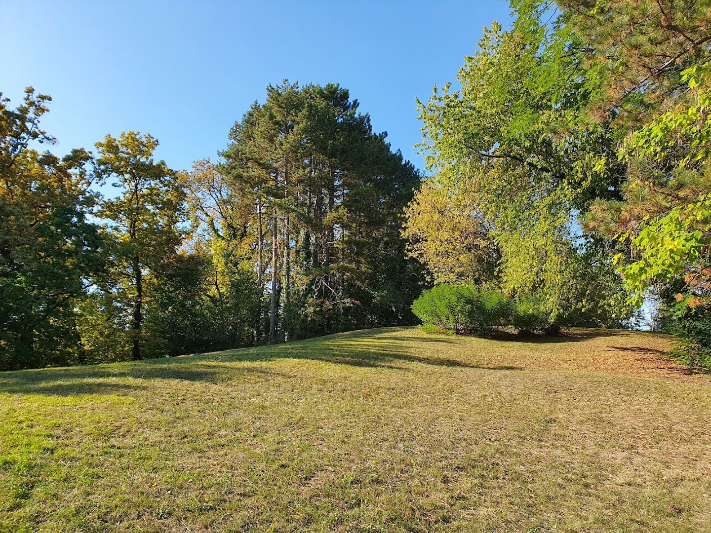 Forest Park Jelenovac