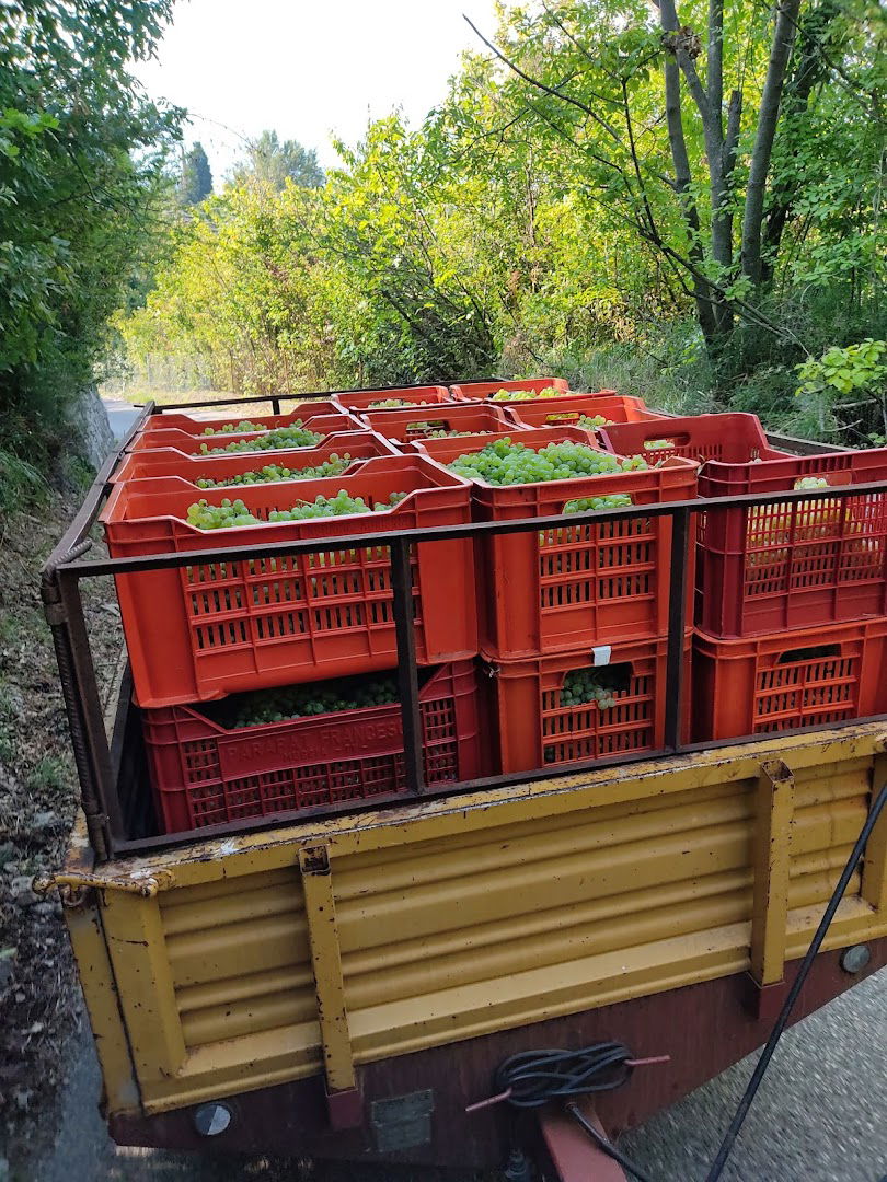 Osmiza Beljan di Kosuta Silvano