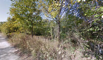 Cross country day vol.2 Dapčevica