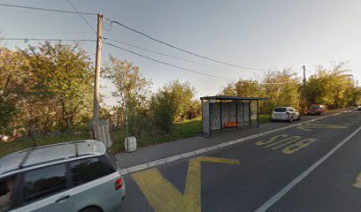 Sretena Mladenovića