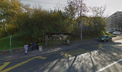 Srpskih udarnih brigada