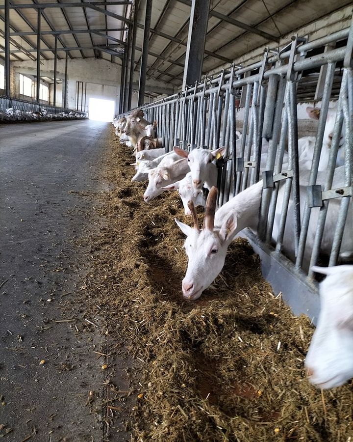 Società Agricola La Viera