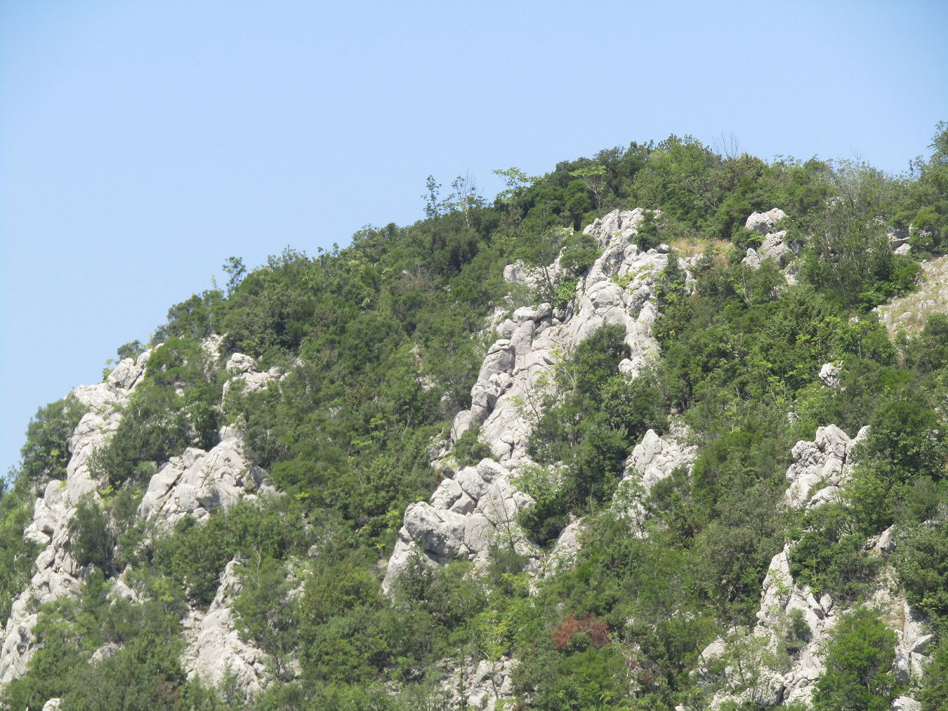 Prcavacka gradina (Ilirski rajski grad) - zapadna citadela