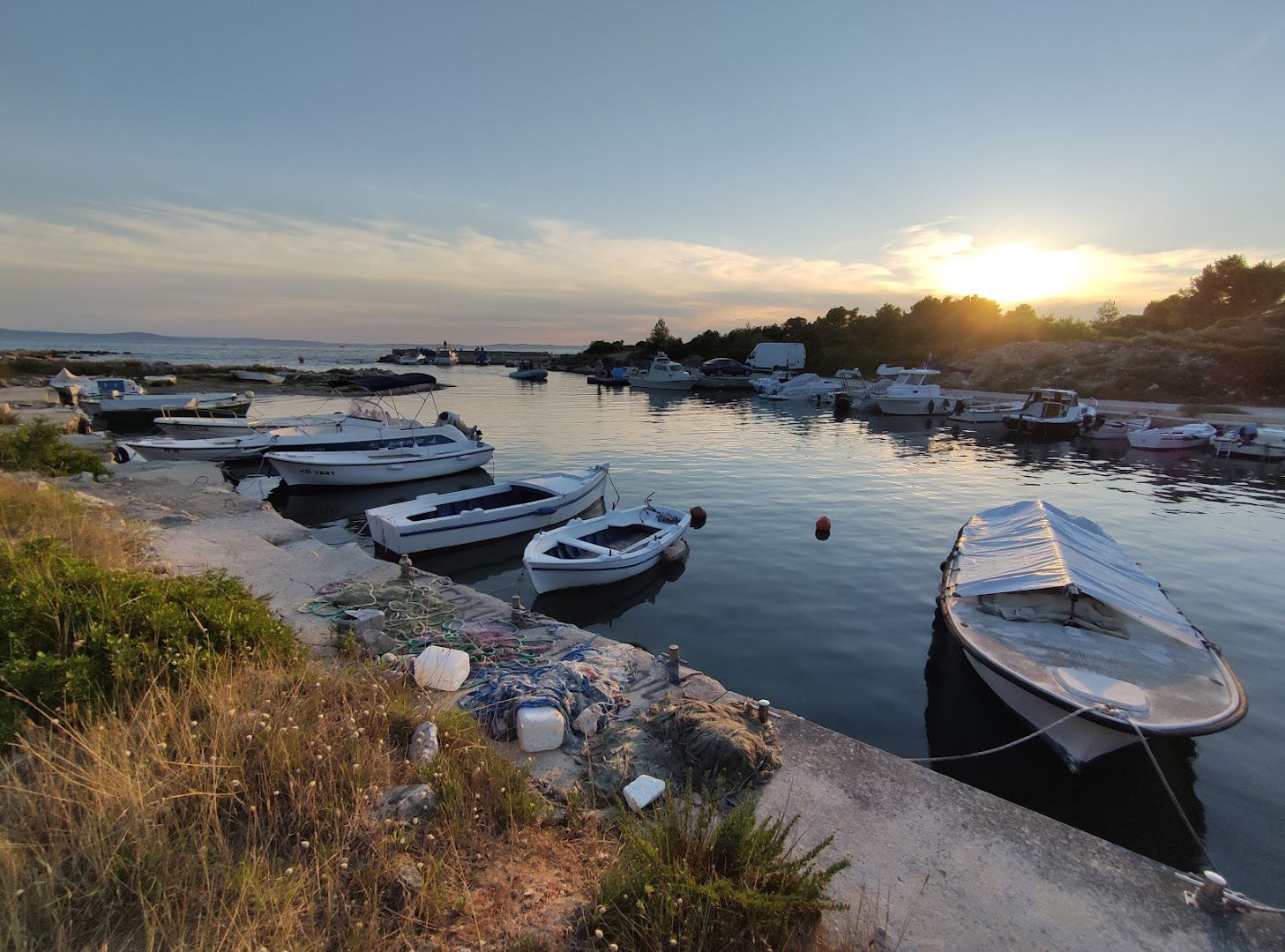 Ś.R.D. SRPLJICA TOROVI