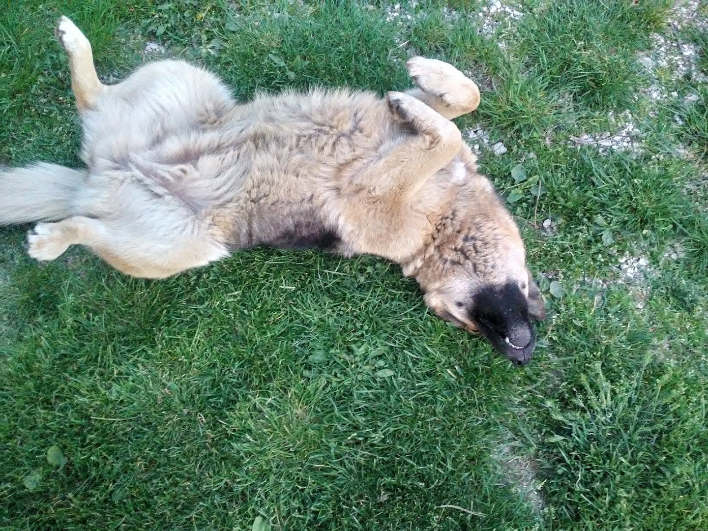 Poljoprivredna djelatnost"O3"