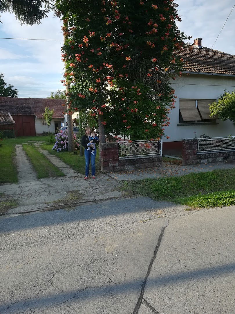 OSNOVNA ŠKOLA VELIKA PISANICA