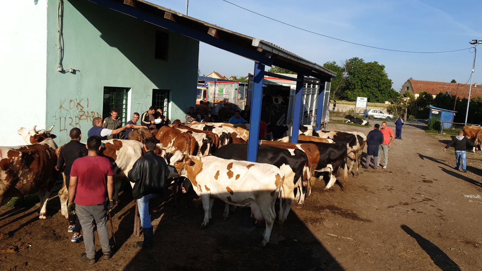 Сточна пијаца Стара Пазова