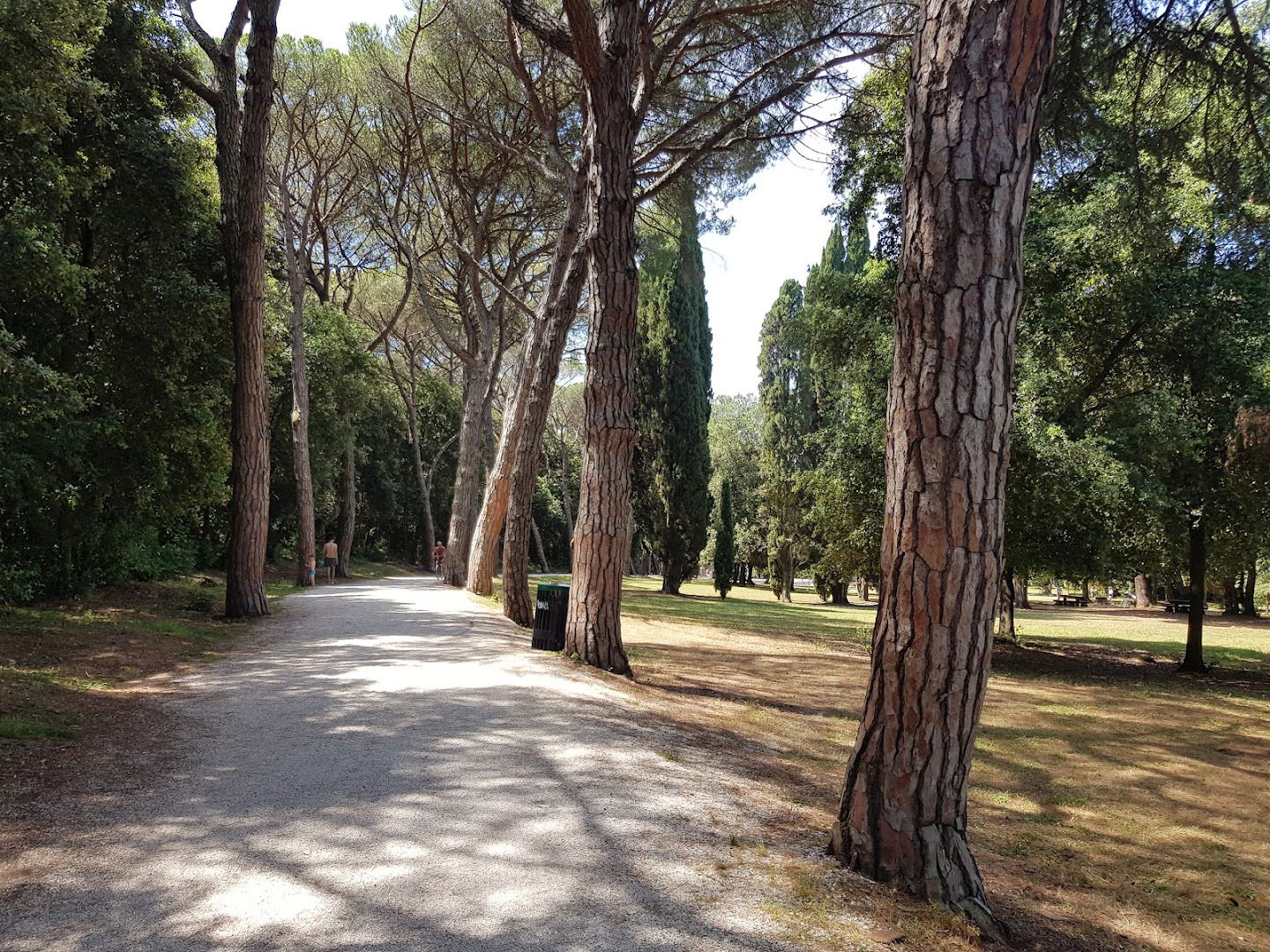 Park forest Zlatni Rt