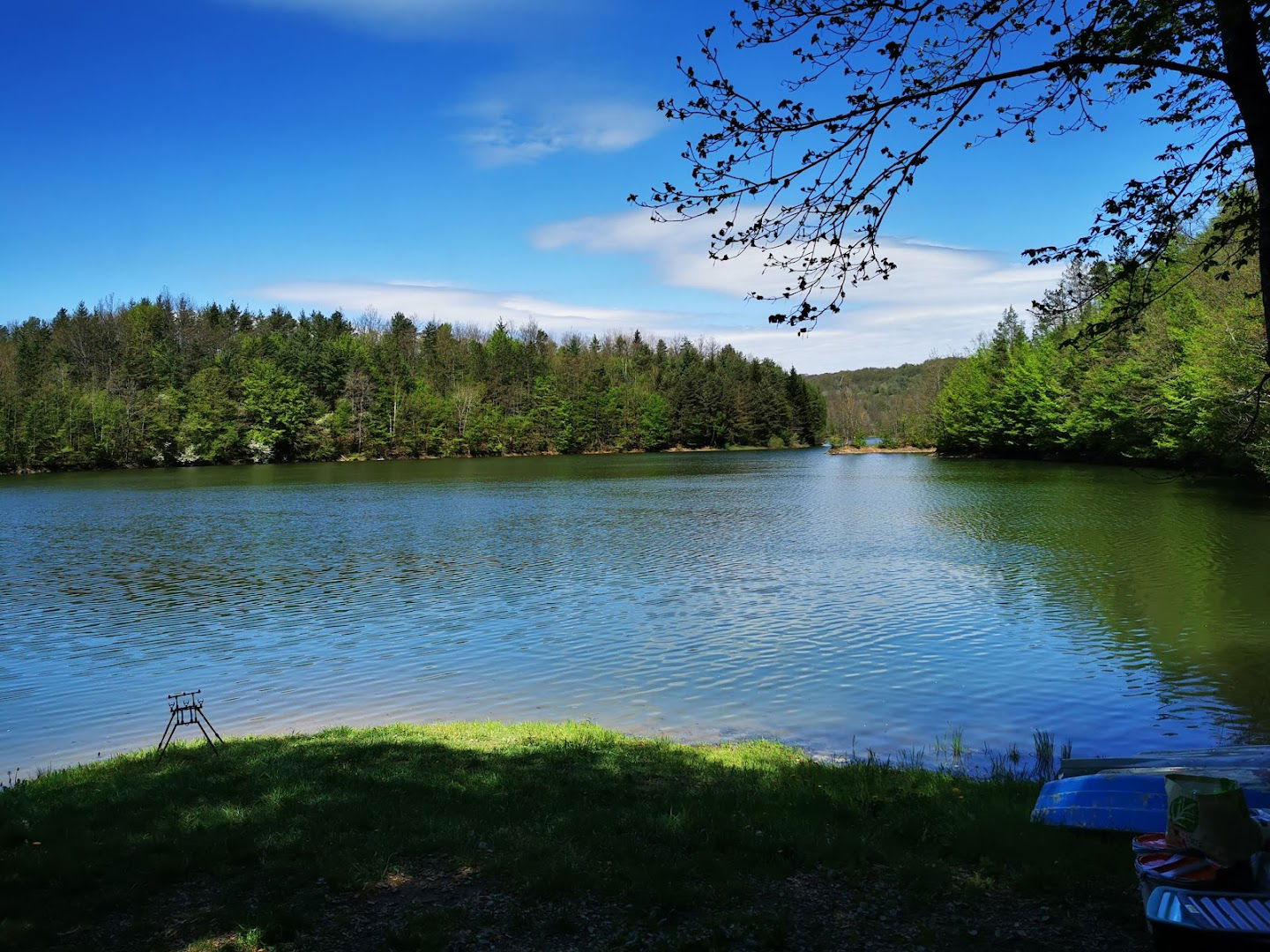 Ribiška družina Bistrica
