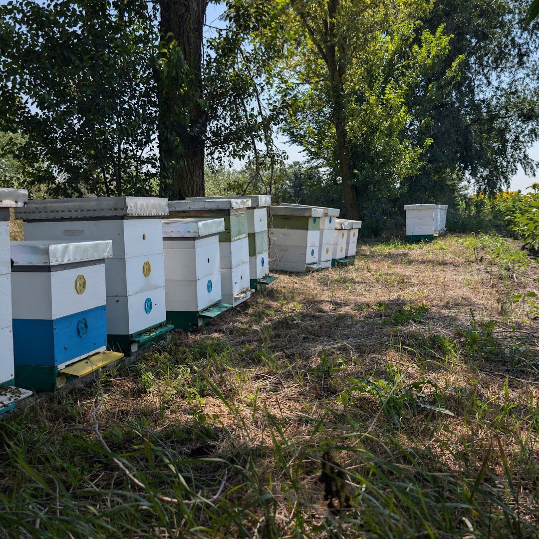KUĆA MEDA- Lazarevac