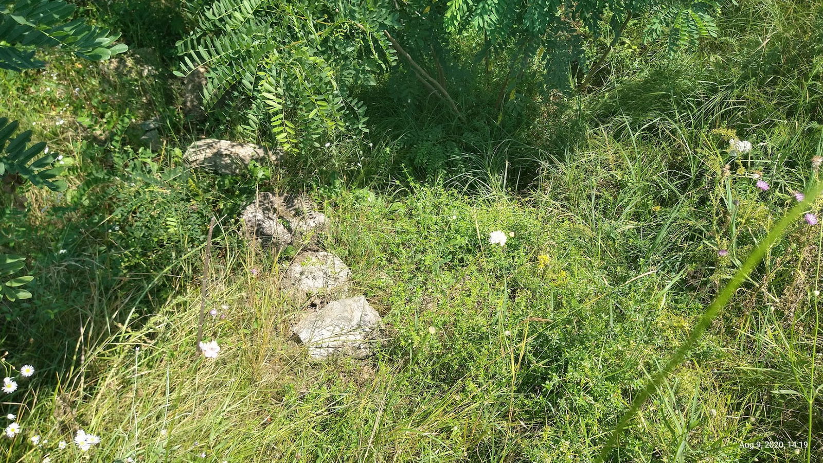 Castrul roman Arcidava