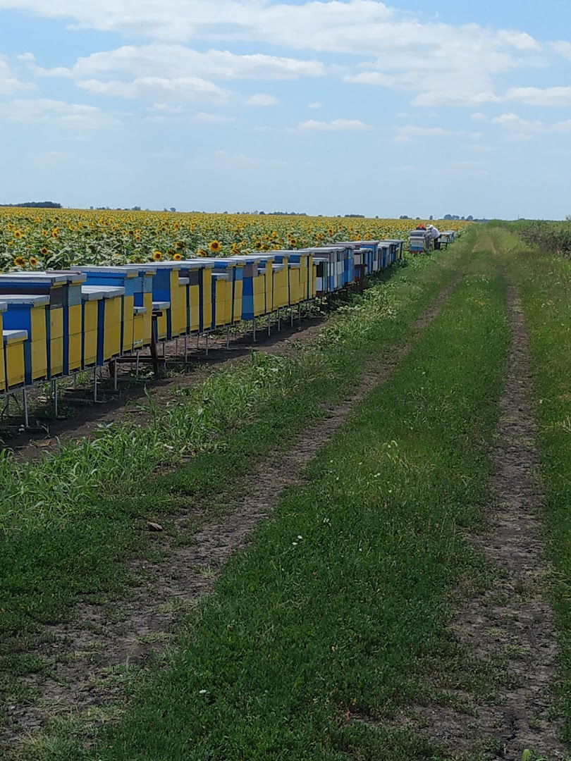 pcelinjak Davidovic, prirodan med