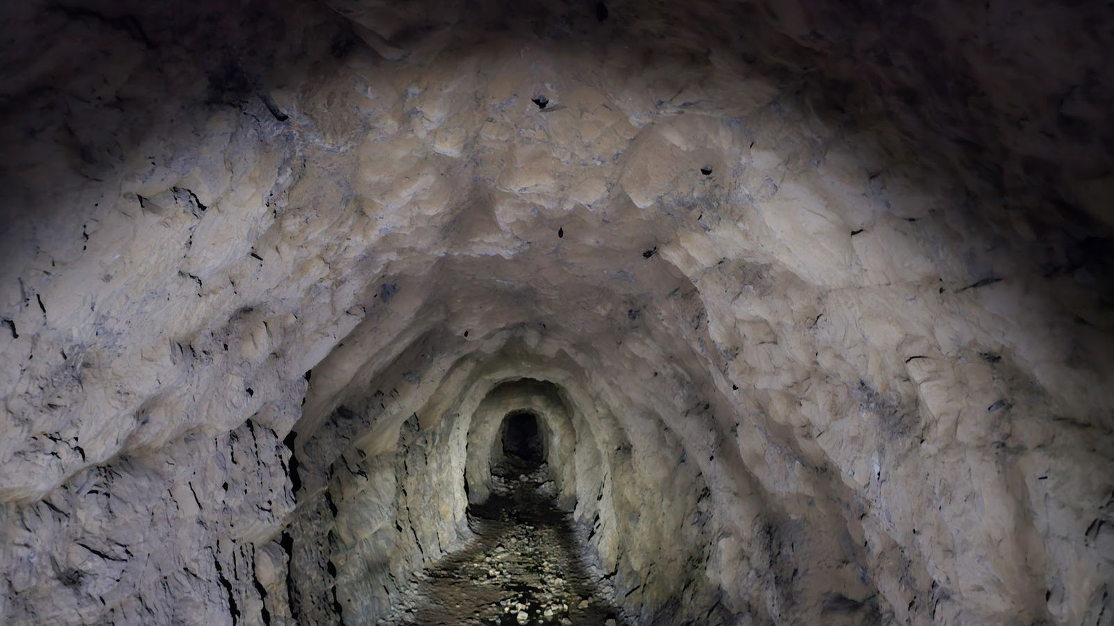 Lovska družina Vrhnika