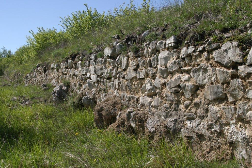 Gradina nad Pasjakom, arheološko nalazište