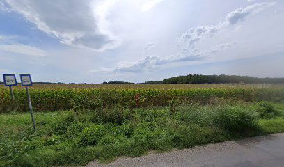 Drávatamási elágazás