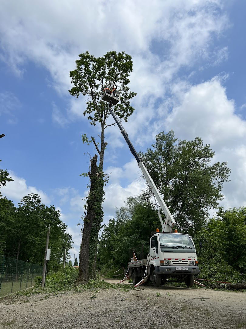 Obrt za šumarstvo i usluge Jelinić