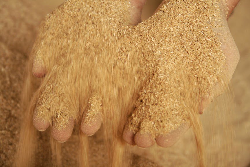 LA.SO.LE. EST S.P.A.