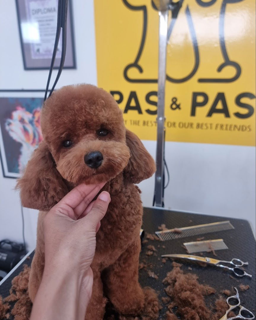 PAS&PAS salon za pse