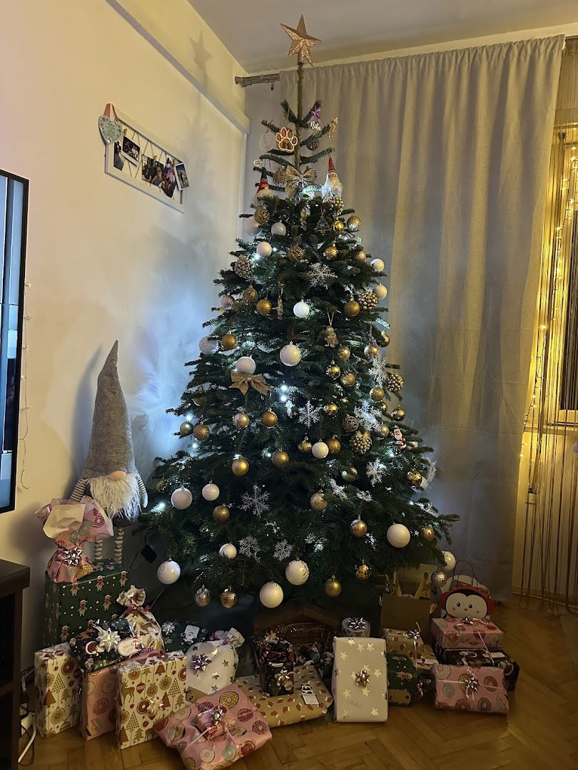 Rasadnik božičnih drvaca Drčić