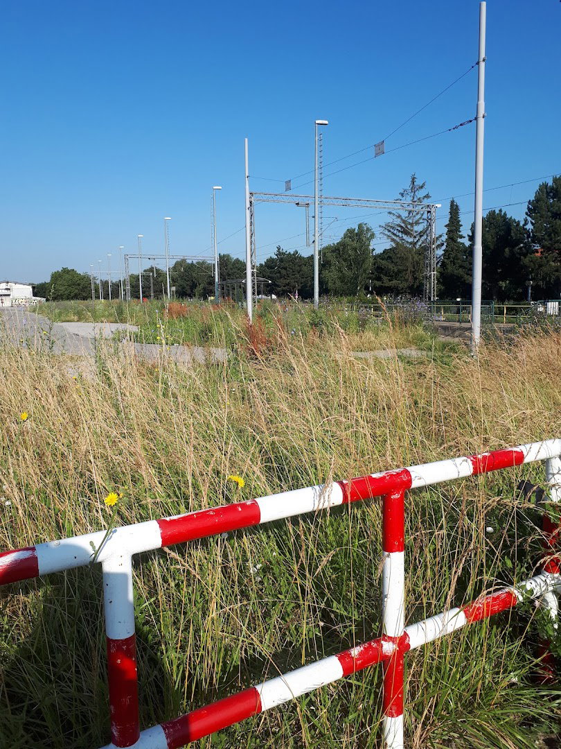 Štefanov.-Stud.kamp.