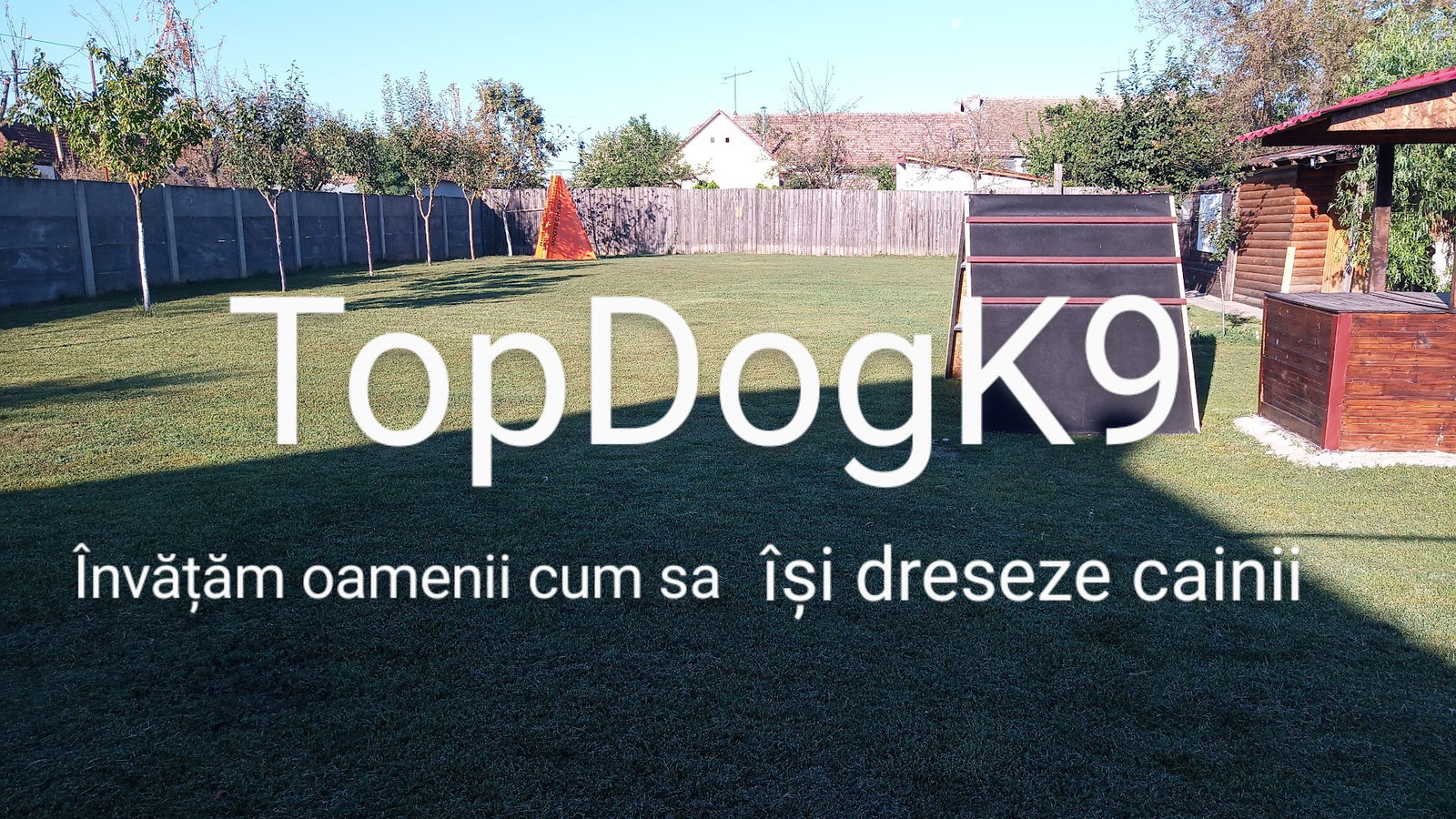 dresaj canin Timisoara