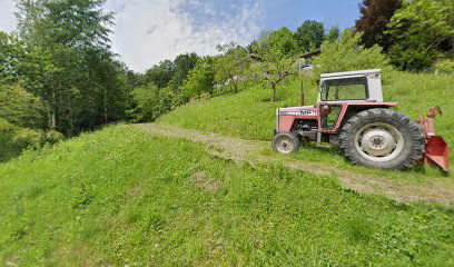 Avtoprevozništvo in gradbena mehanizacija, Ivan Plavčak s.p.